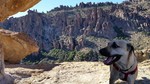 photo thumbnail #10