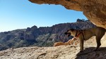 photo thumbnail #12