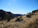 photo thumbnail #1