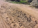 photo thumbnail #12