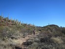 photo thumbnail #12