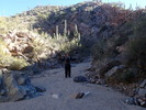 photo thumbnail #3