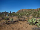 photo thumbnail #4