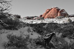 photo thumbnail #4
