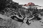 photo thumbnail #5