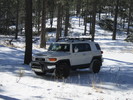 photo thumbnail #1