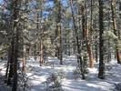 photo thumbnail #7
