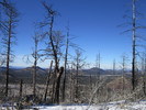 photo thumbnail #5