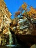 photo thumbnail #3