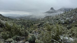 photo thumbnail #4