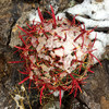 photo thumbnail #7