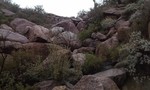 photo thumbnail #2