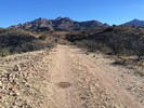 photo thumbnail #5