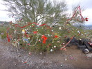photo thumbnail #6
