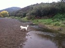 photo thumbnail #2