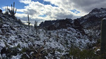 photo thumbnail #4
