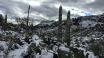 photo thumbnail #7