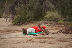 photo thumbnail #5