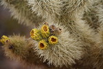 photo thumbnail #11