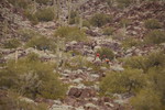 photo thumbnail #12