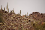 photo thumbnail #15