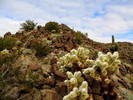 photo thumbnail #2
