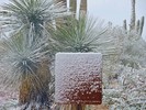 photo thumbnail #6