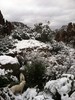 photo thumbnail #14