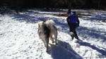 photo thumbnail #8