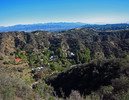 photo thumbnail #14