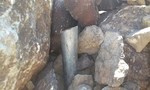 photo thumbnail #5
