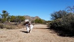 photo thumbnail #1