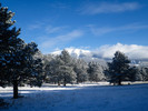 photo thumbnail #6