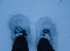 photo thumbnail #10