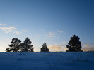 photo thumbnail #11