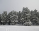 photo thumbnail #15