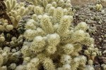photo thumbnail #4