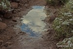 photo thumbnail #11