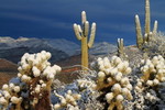 photo thumbnail #4