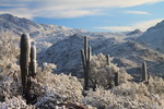 photo thumbnail #6