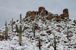 photo thumbnail #13