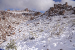 photo thumbnail #9