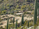 photo thumbnail #12