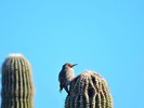 photo thumbnail #10
