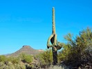 photo thumbnail #11