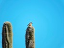 photo thumbnail #14
