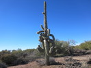 photo thumbnail #3