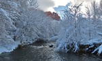 photo thumbnail #15