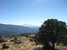 photo thumbnail #14