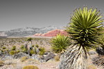 photo thumbnail #7